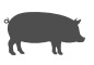 Сардельки "Белорусские Свиные"